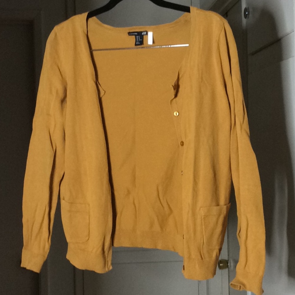 Cardigan